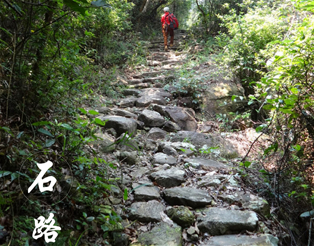 图片5_meitu_20