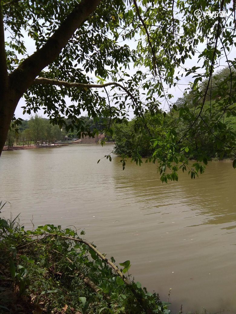 轨道龙凤溪站→_→大磨滩湿地公园