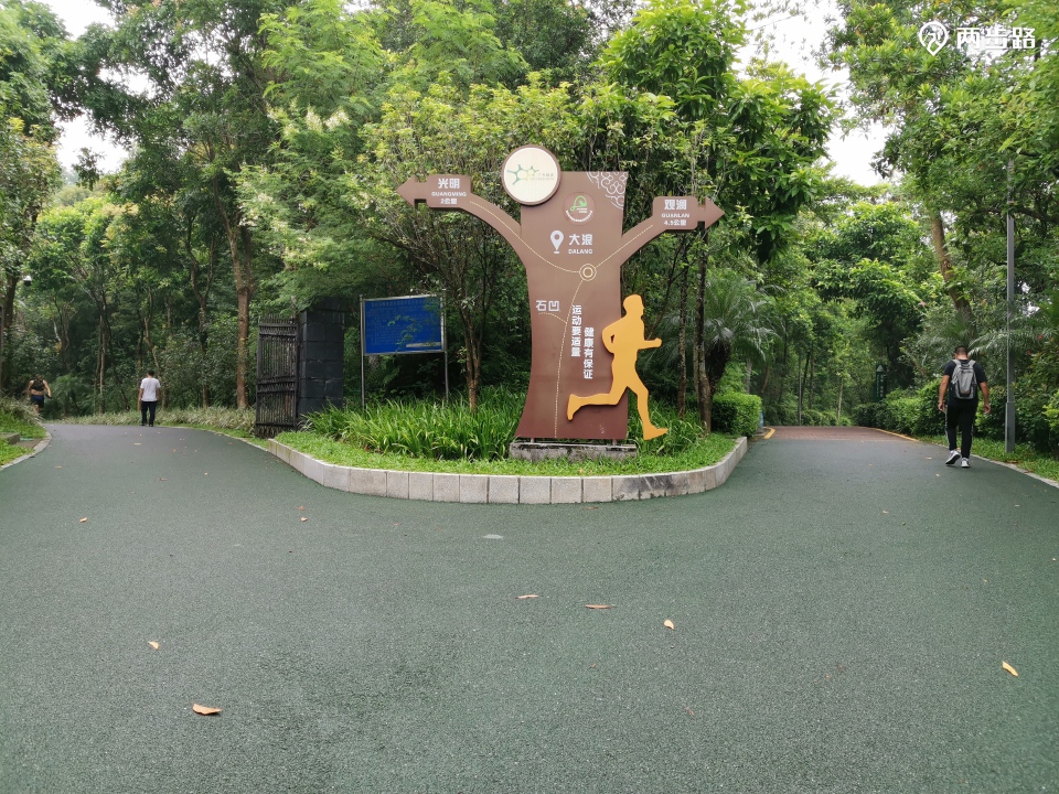 47km 当前海拔87m距离起点4.47km 当前海拔87m大浪绿道入口