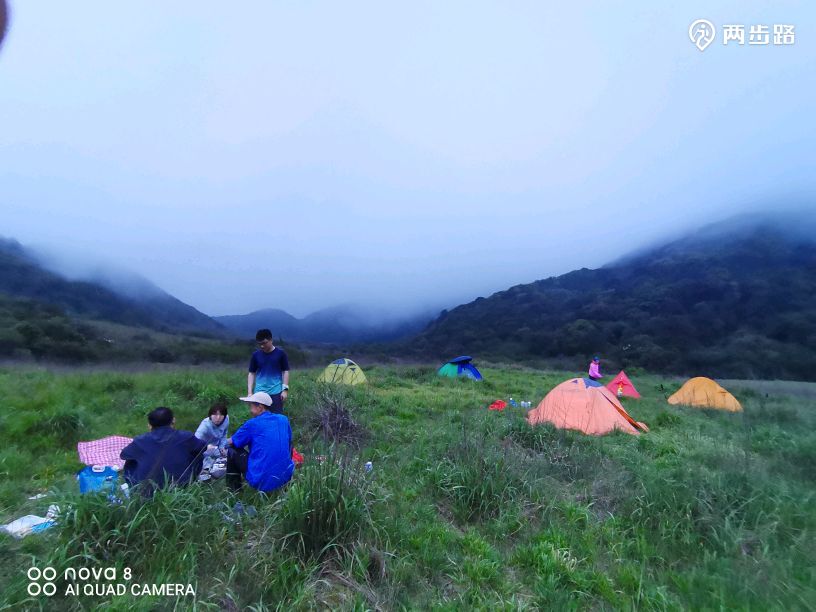 我们的晚餐,干两杯那是必须的,海马酒,五子毛桃酒轮番上阵,王小驴说
