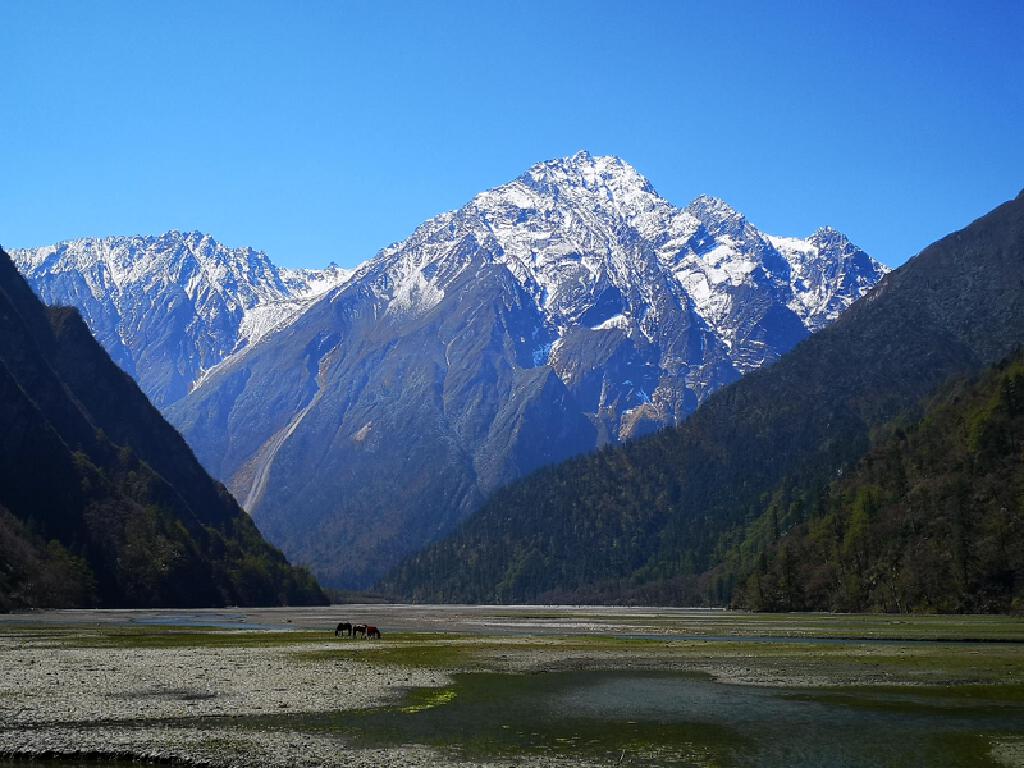 巴王海 (1)