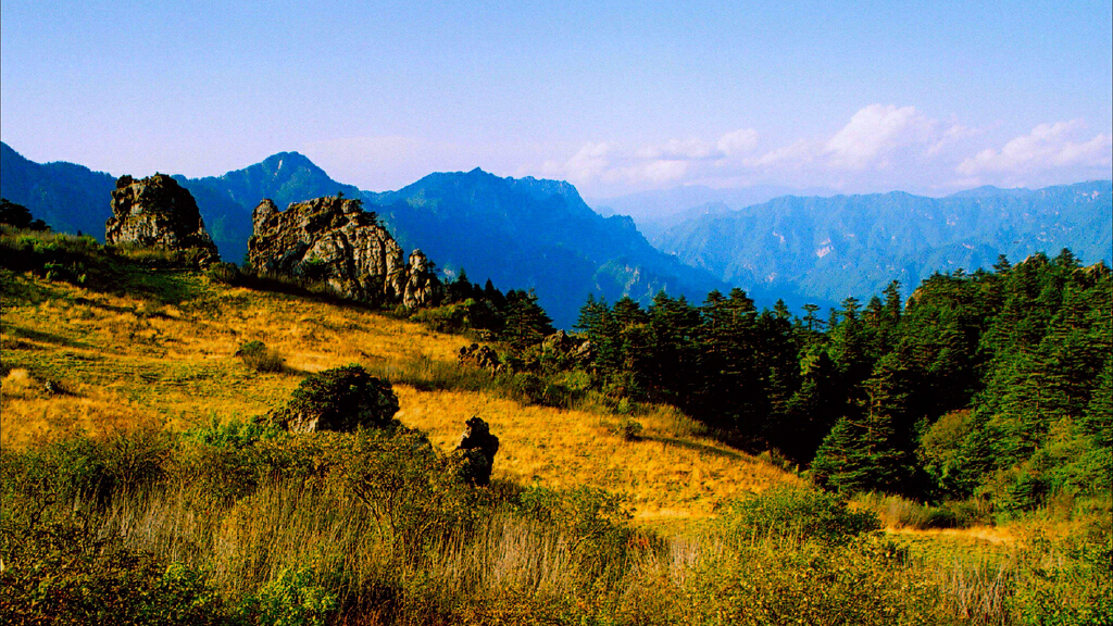 户外活动 | 五一假期神农架老君山原始森林65公里重装穿越 |户外运动