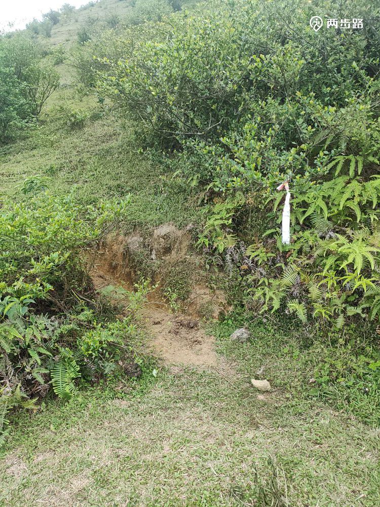 相关轨迹20210413高州大水坑