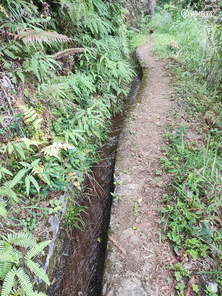 相关轨迹20210413高州大水坑