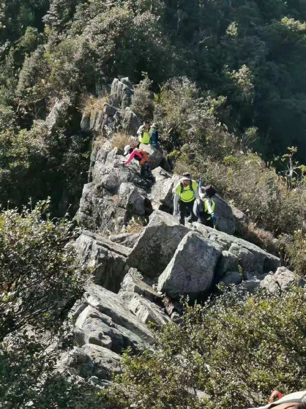 排牙山刷牙近景