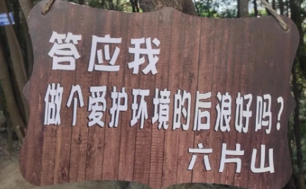 微信截图_20240903111747