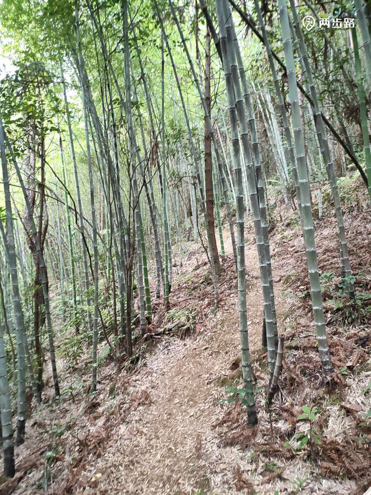 相关轨迹20210413高州大水坑