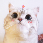 常艺馨