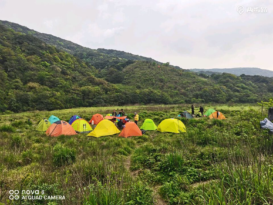 我们的晚餐,干两杯那是必须的,海马酒,五子毛桃酒轮番上阵,王小驴说