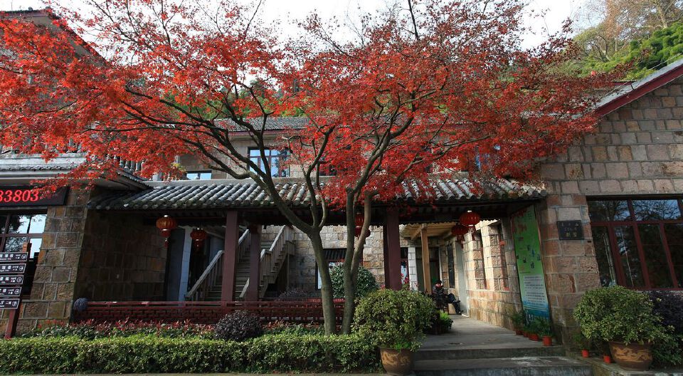 莫干山秋4.jpg