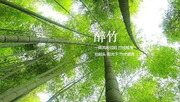 (3)5.12广州从化-影古星溪休闲路线约竹筒饭-户外活动图-驼铃网