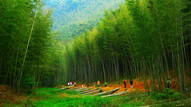 516从化星溪线休闲一日游