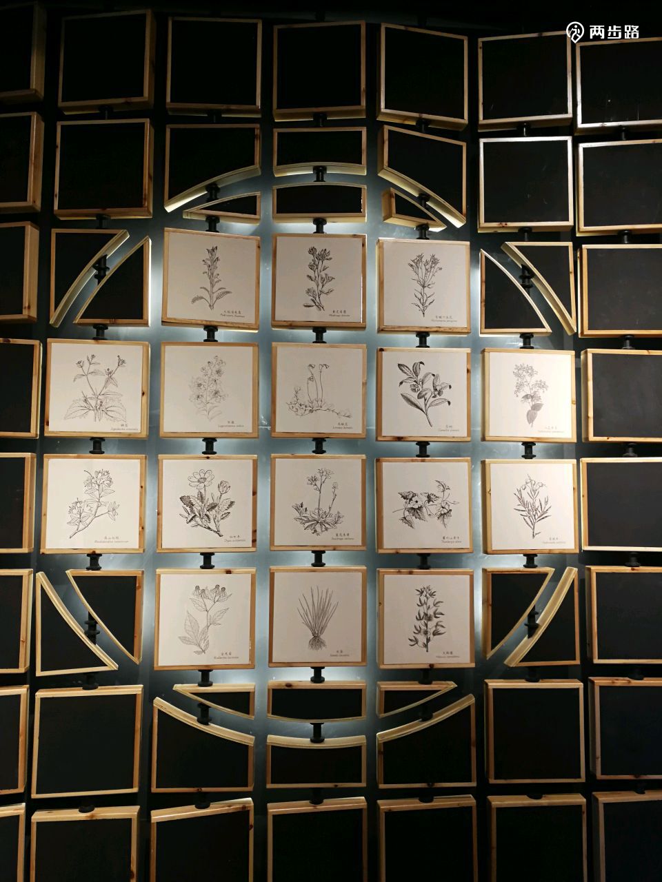 婺源:林奈实验室