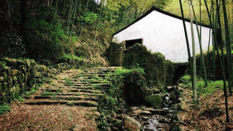 微信图片_20190228110601 - 副本