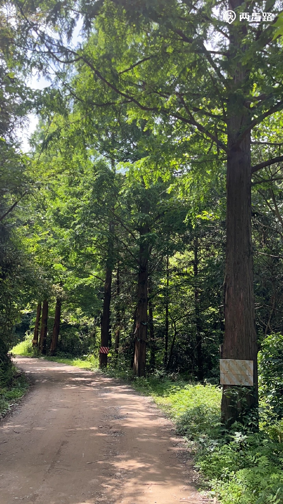 岭南古道一塔沙岭东环线 韩岭老街