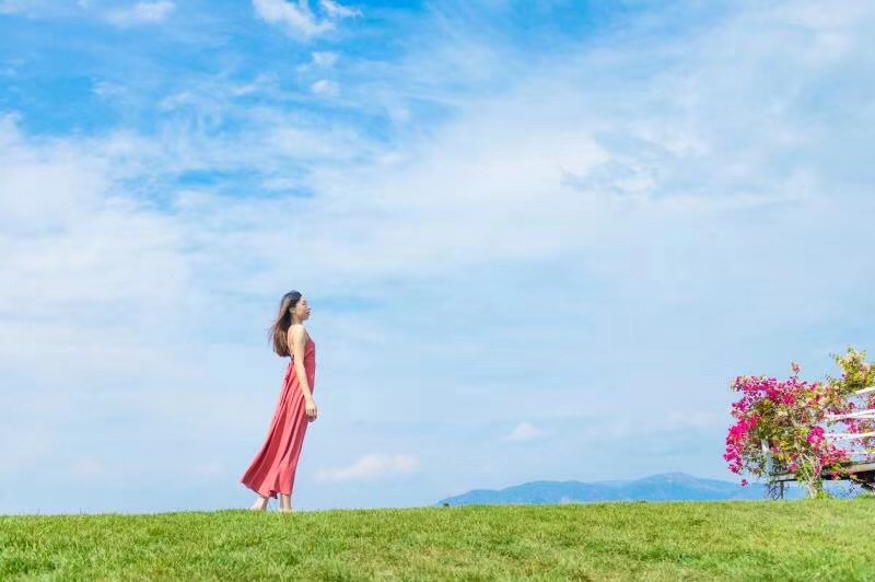 花海写真 (2)
