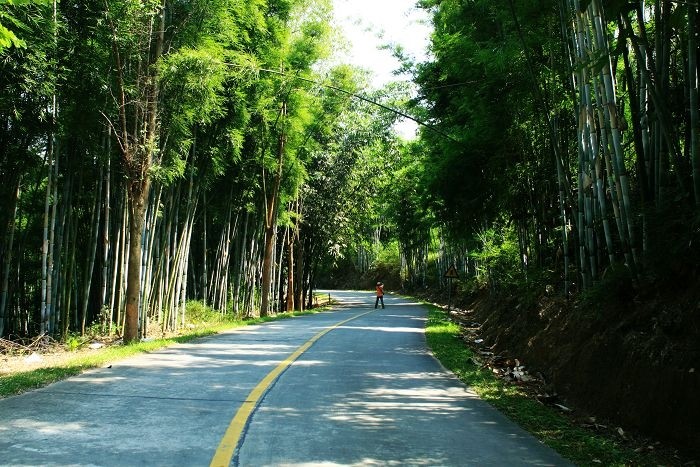 天堂山水库露营发呆打牌打鱼