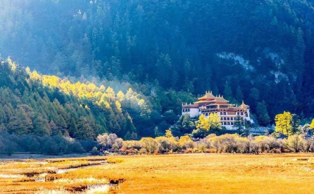 古冲寺