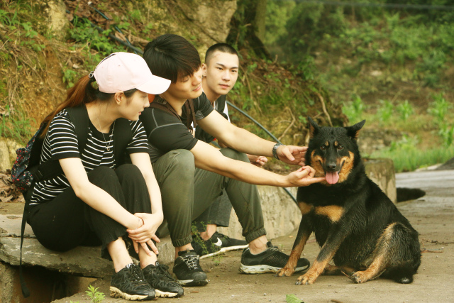 相遇季御泉河相遇之旅