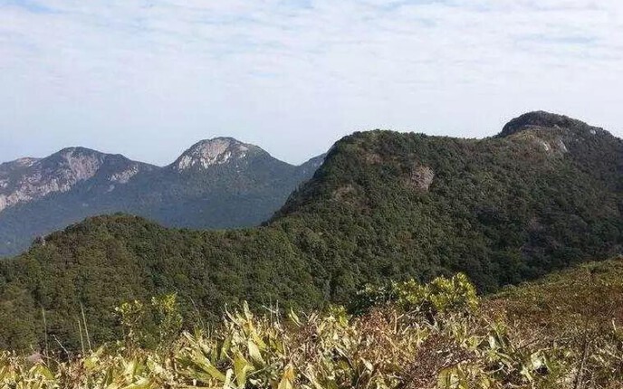 1月14周日从化十登之三角髻