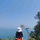 lingning