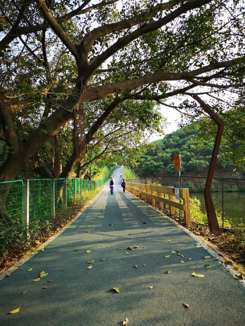 4月11周日大浪观澜绿道休闲徒步