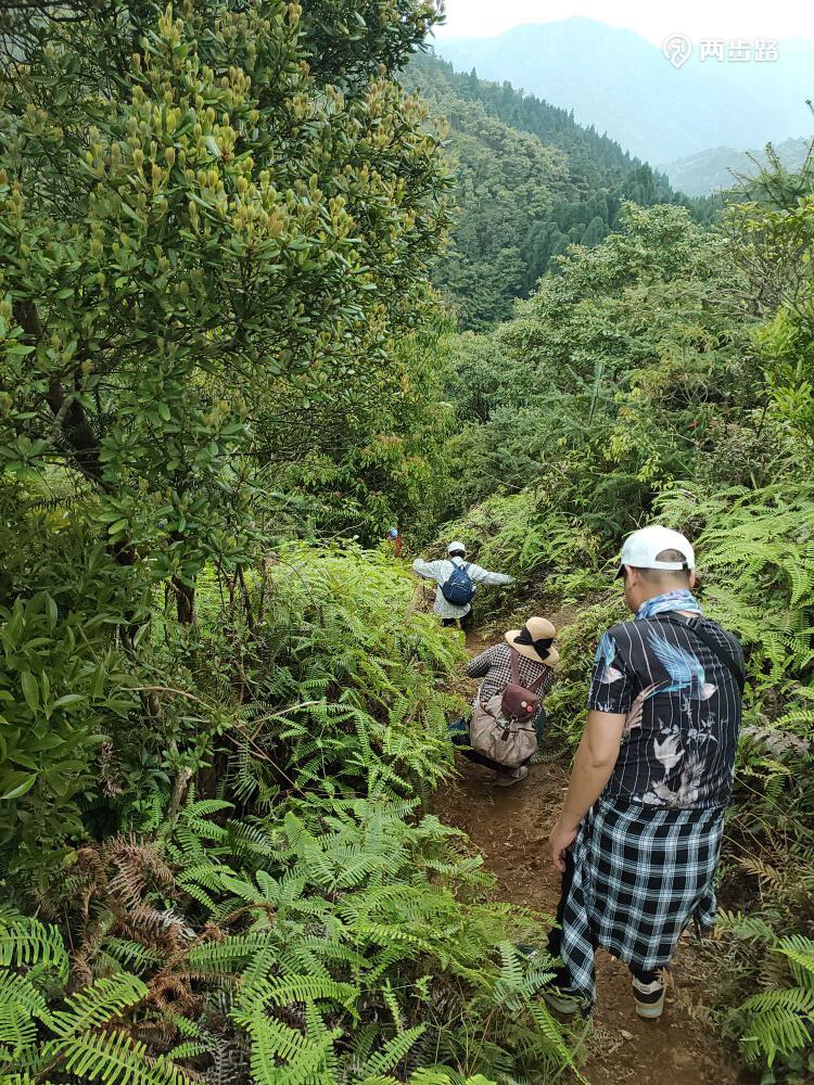 相关轨迹20210413高州大水坑