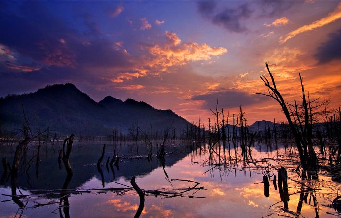 gdlzsc.com_files_2012_07_2012071923340259152.