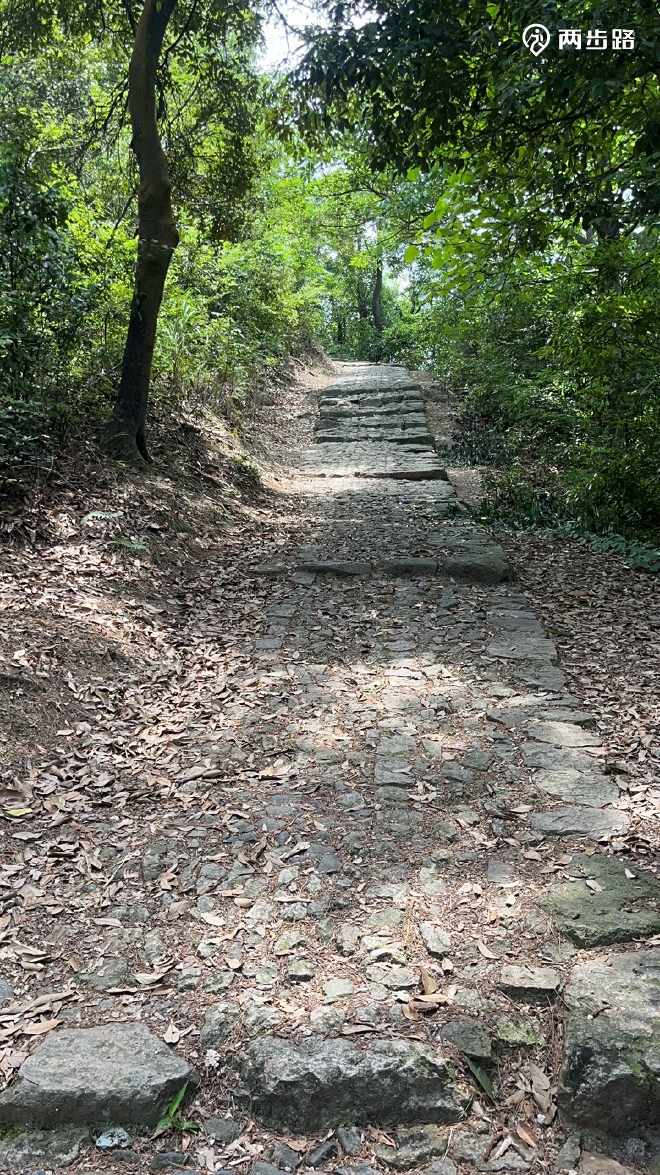 岭南古道一塔沙岭东环线 韩岭老街