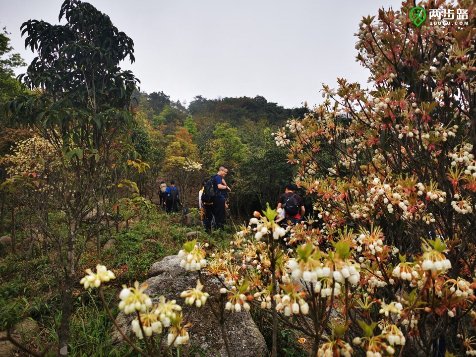 徒步惠州四方山,翻越32座山頭