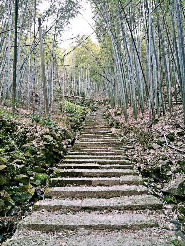 微信图片_20190227174947