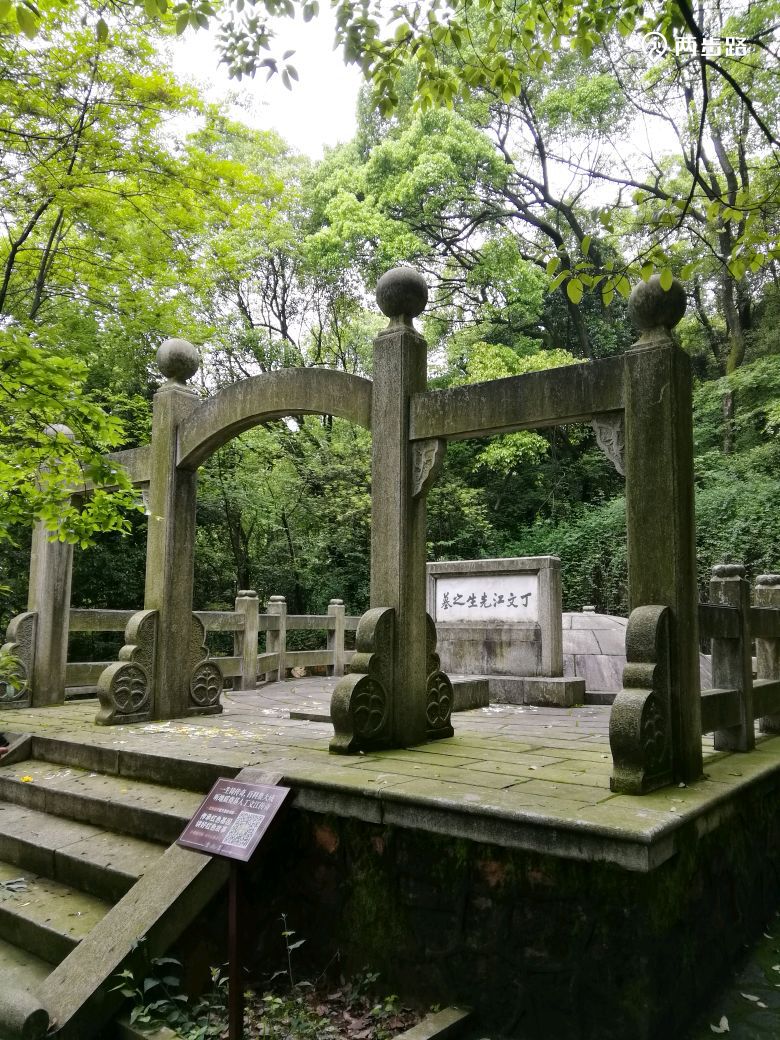 岳麓山探访名人墓