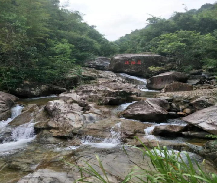 从化十登最美的山五指山