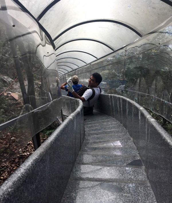 梦幻仙境金子山垂直天梯登山挑战最高玻璃桥天梯森林滑道1日行程