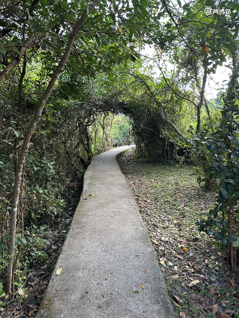 2023年香港西贡郊野公园徒步转山