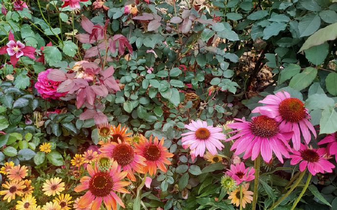 约伴 夜夜夜 徒徒徒 徒个自在 据说最好的运动是步行 饭后百步走 能活到九十九 夜徒不一样的感受