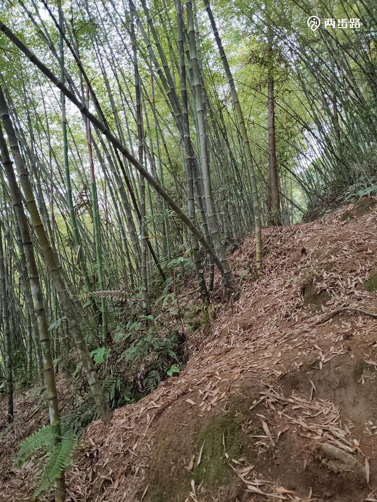 相关轨迹20210413高州大水坑