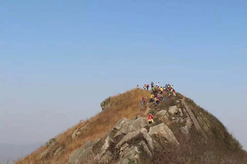 微信图片_20181023171253.jpg
