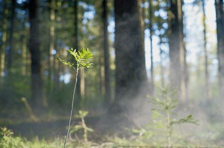 微信图片_20190228110312