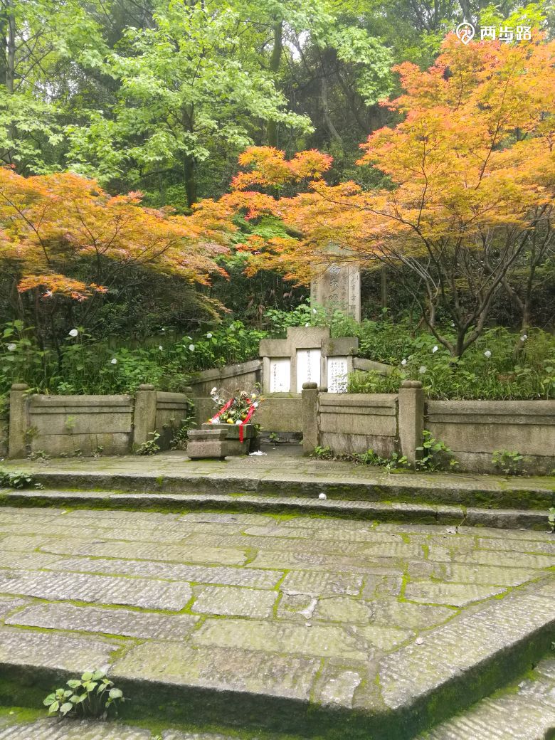 岳麓山探访名人墓