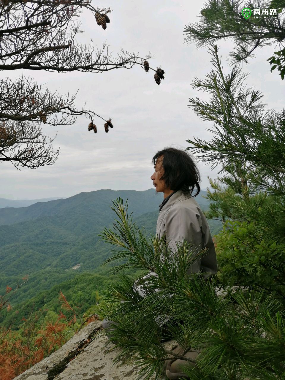 山樑上生長著很多降龍木快登頂了山藥野薔薇開車到青峰寺(青峰山北峰)