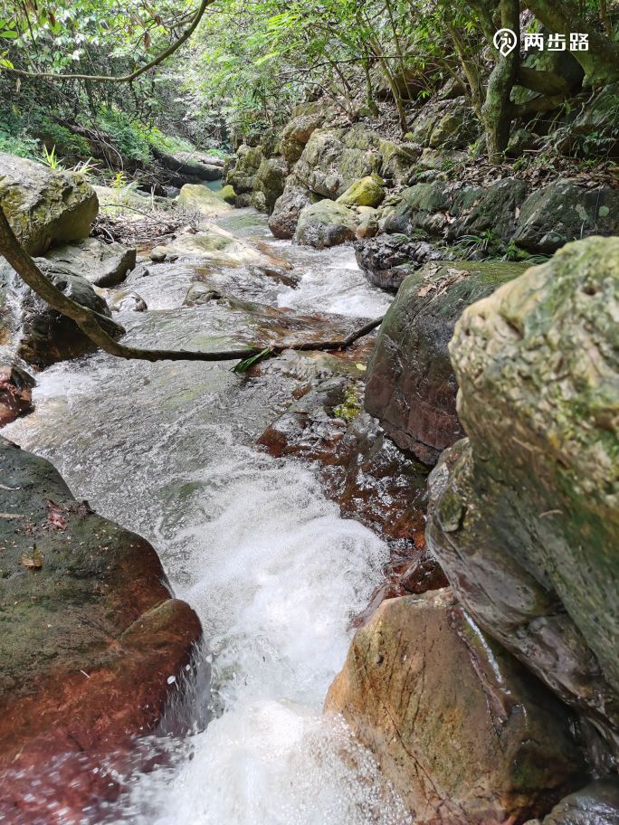 2020-05-24 08:59南宁宾阳县黎塘镇黄茶村相思潭