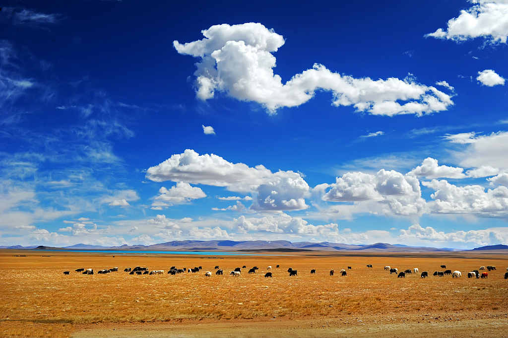 风景