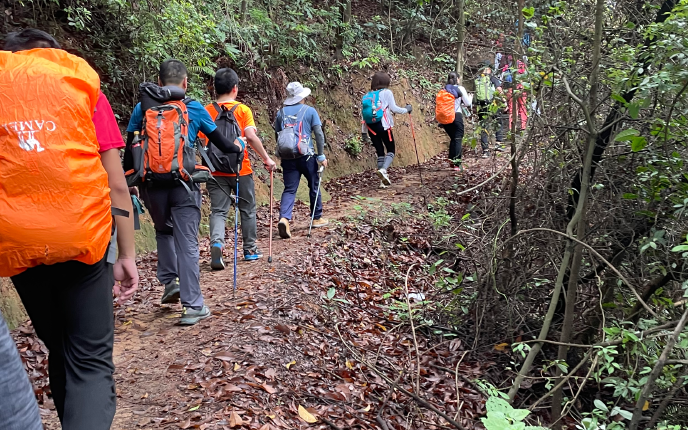 627陽臺山野路慢搖鑽小樹林尋野果