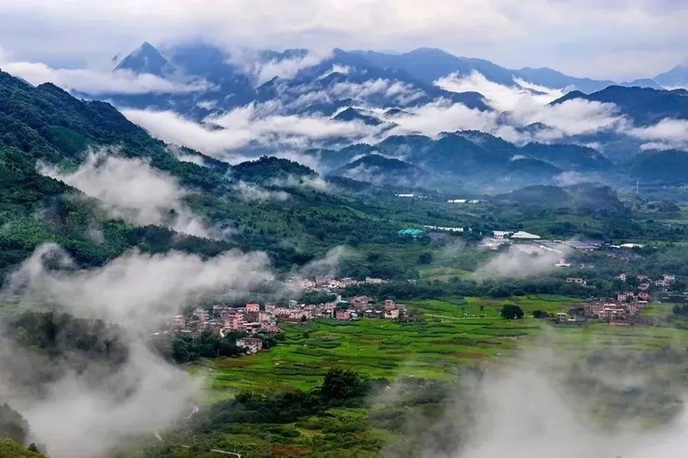 1031周日登广州从化桂峰山走进柿外桃园体验采摘摄影打卡休闲徒步成行