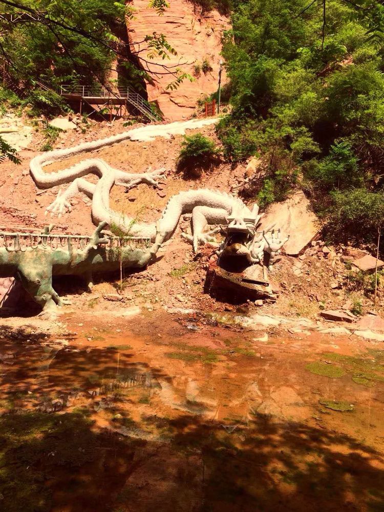 文提供)龙94己断水,龙困浅滩(图片由蒋秀文提供)被九龙峡气势所震撼