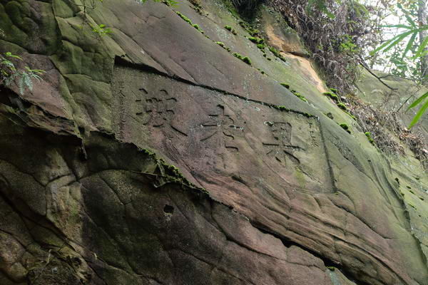 尖顶坡水天池龙桂寺萤火谷果老寨青木关徒步探洞体验