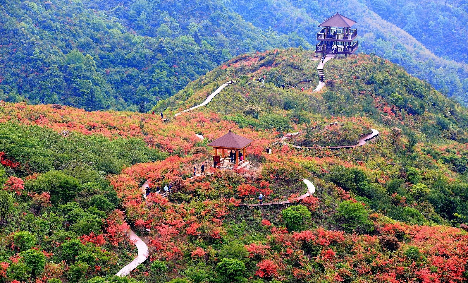 13【巅峰系列(湘06)】长沙最高峰—大围山轻装徒步 |户外运动|两步路