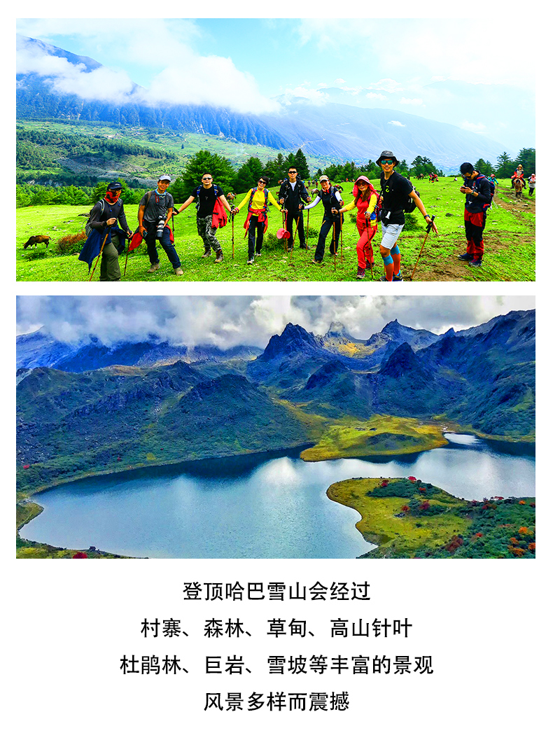 哈巴2019_07