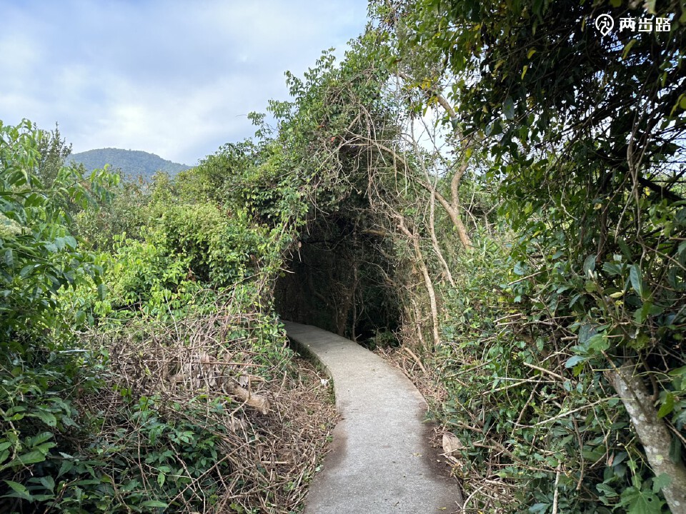 2023年香港西贡郊野公园徒步转山